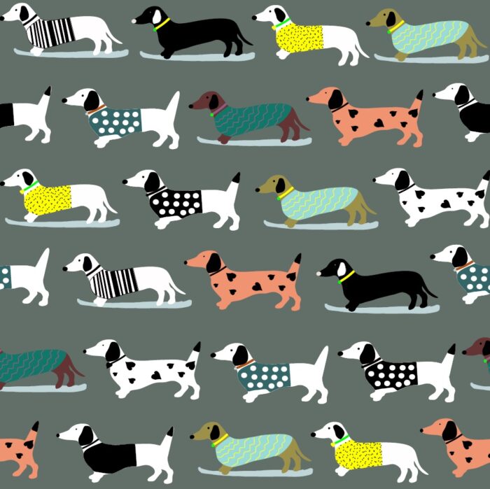 DACHSHUNDS [GREY]